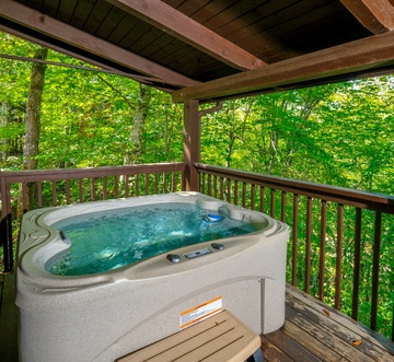 Smoky Mountain Jewel Unit 2