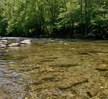 Tennessee Glow