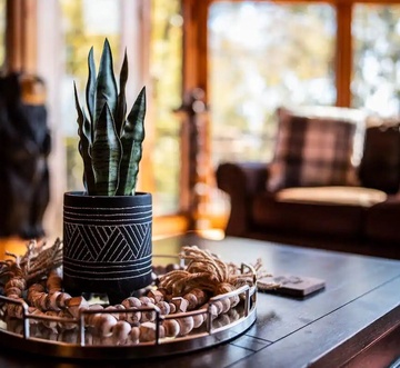 Rocky Top Lodge