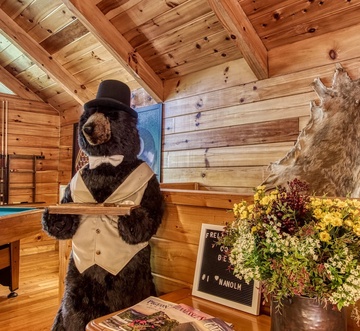 Cozy Bear Lodge