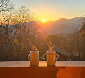 Honey Bear Lodge