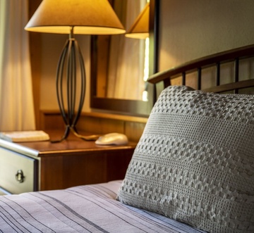 Cozy Bear Cove