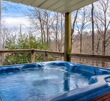Bear View Chalet