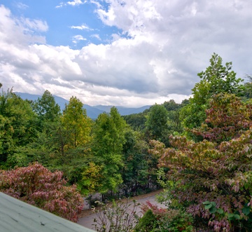 Mountain View Paradise