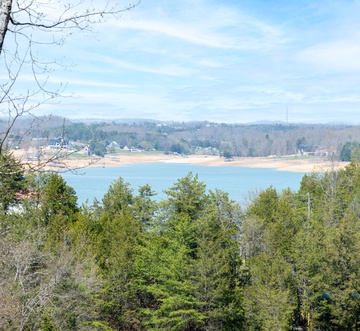 Bearfoot Cove