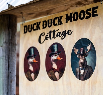 Duck Duck Moose