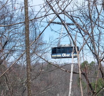 Bear View Chalet