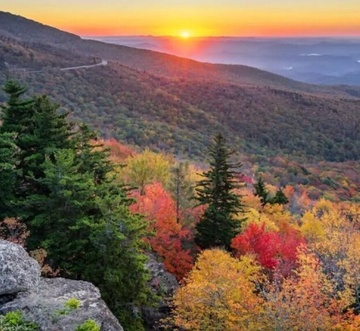 Brave Eagle