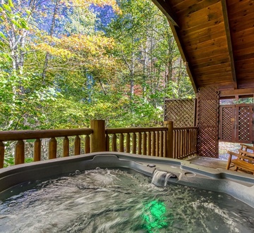 Cozy Bear Lodge