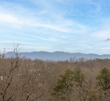 Mountain Breeze