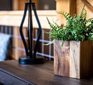 Rustic Retreat