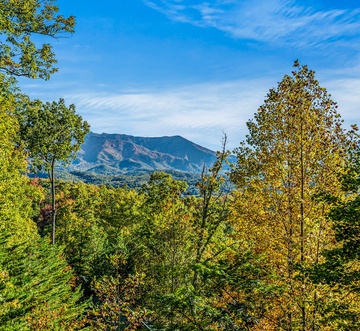 Some Peak Somewhere Cabin
