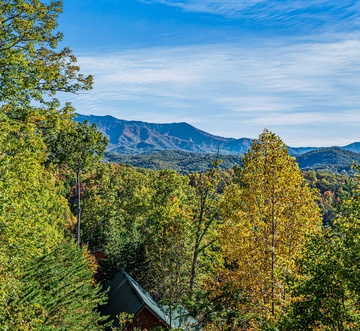 Some Peak Somewhere Cabin