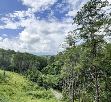 Mountain Bliss