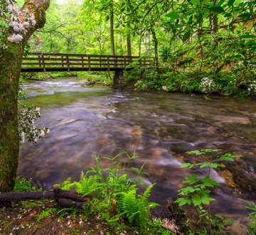 Pioneer Trail Retreat