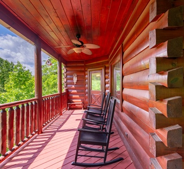 Bear Essentials Lodge