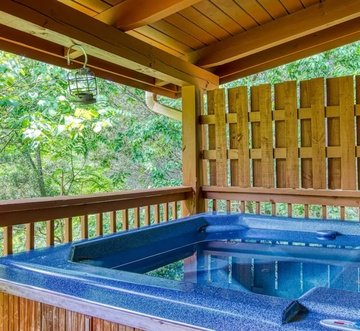 Smoky Mountain Hideout