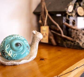 Snail's Pace