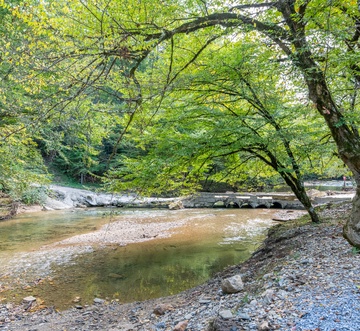 Cabin on the Creek