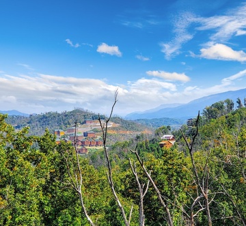 Smoky Mountain Dreams