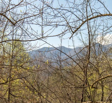 Hidden Retreat