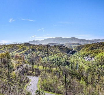 Brave Eagle