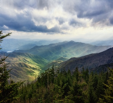 Smoky Dreams 2