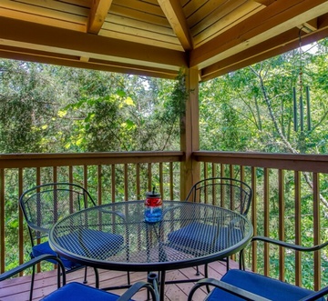 Smoky Mountain Hideout