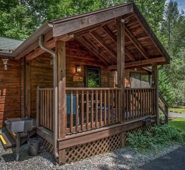 Misty Mountain Cabin