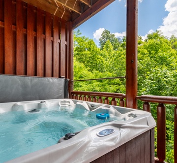Bear Essentials Lodge