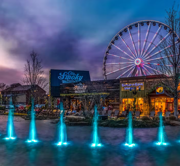 Bear Family Cabin