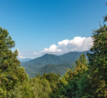 Honey Bear Lodge