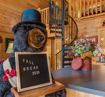 Can't Bear to Leave