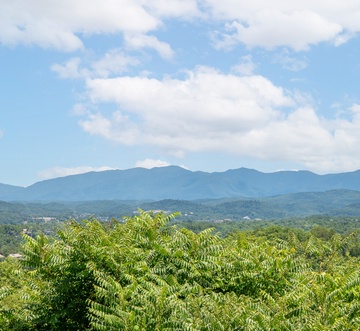Rendez-View