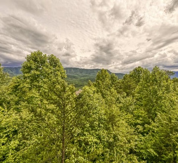 Mountain Song