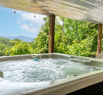 Laurel Mountain Lodge
