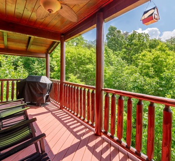 Bear Essentials Lodge
