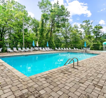 Honey Bear Lodge