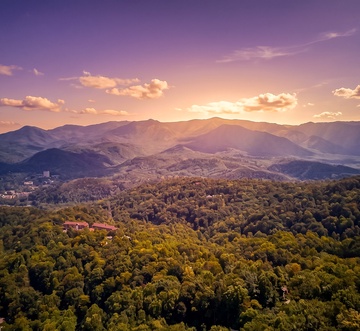 Mountain View Paradise