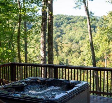 Smokey Mountain Splendor