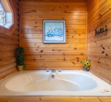 Pigeon Forge Perch