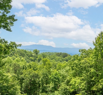 Laurel Mountain Lodge
