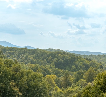 Wildbriar Inn