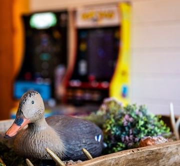 Duck Duck Moose