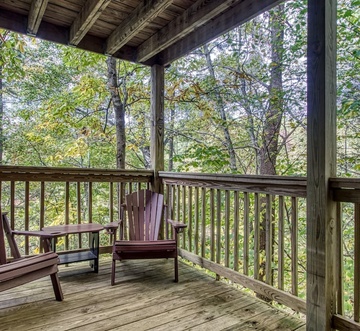 Cozy Bear Lodge