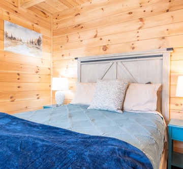 Cabin In The Mountains