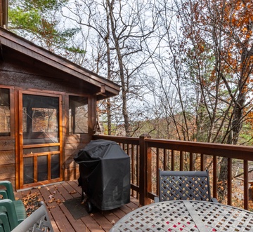 Pigeon Forge Perch
