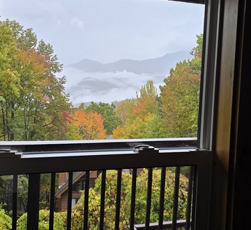 Honey Bear Lodge