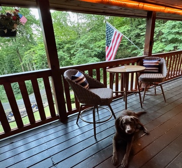 Timber Tails