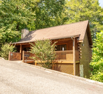 Country Bear Cove